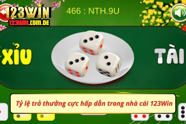 Khám phá tỷ lệ trả thưởng hấp dẫn tại 123Win