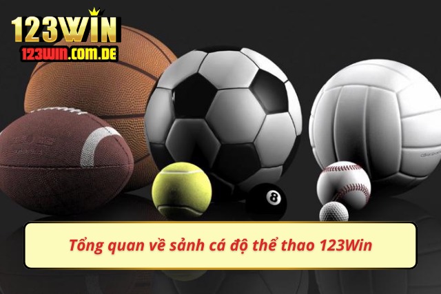 Trải Nghiệm Sảnh Cược Thể Thao 123Win Đẳng Cấp Hàng Đầu Thông tin cơ bản về sảnh cược hấp dẫn của 123Win