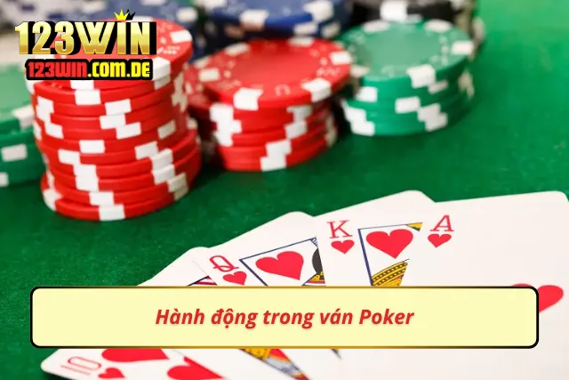 Hành động chi tiết trong ván cược