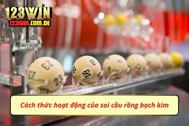 Cách thức hoạt động hiệu quả của soi cầu rồng bạch kim