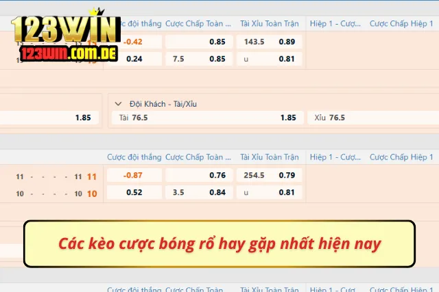 Các kèo bóng rổ thường xuyên xuất hiện