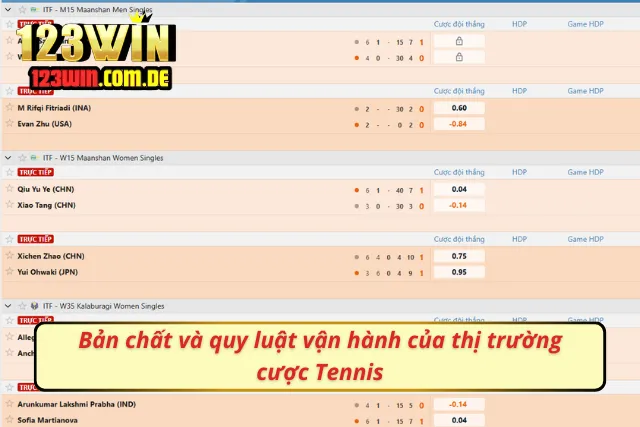Cược Tennis trong thị trường là bộ môn mang lại lợi nhuận cao