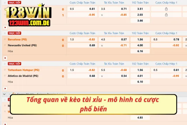 Điều đầu tiên mà người mới bắt đầu cần biết
