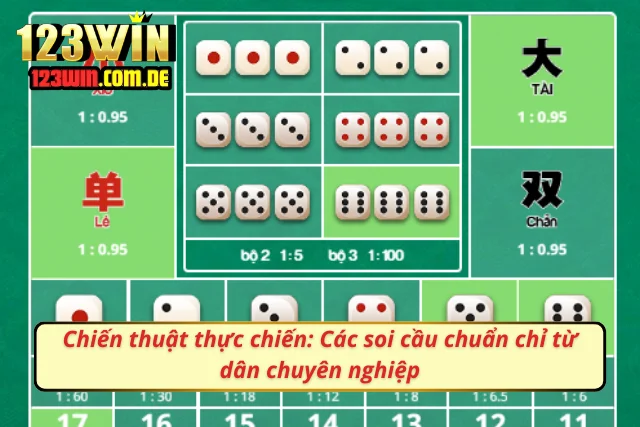 Chuyên gia Sicbo chia sẻ những chiến thuật thực tiễn cho người mới